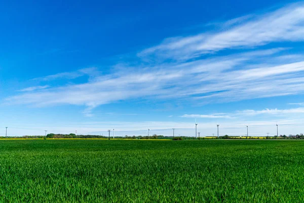 Prados Campos Agrícolas Com Turbinas Eólicas — Fotografia de Stock