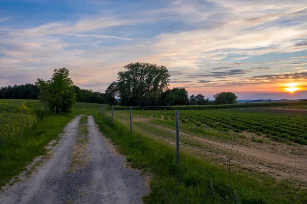 Pôr Sol Sobre Campo — Fotografia de Stock