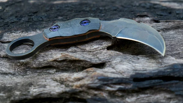Karambit Bıçak Taktik Avcı Elinde Bıçak Kendini Savunma Dövüş Sanatları — Stok fotoğraf