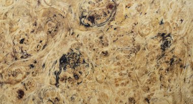 Resim için çizgili Afzelia burl ahşap dekorasyon araba, el sanatları ve sanat doku arka plan için egzotik ahşap güzel desen yazdırır 