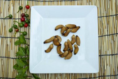 Kırmızı palmiye weevil larva bulanık ahşap beyaz arka plan üzerinde