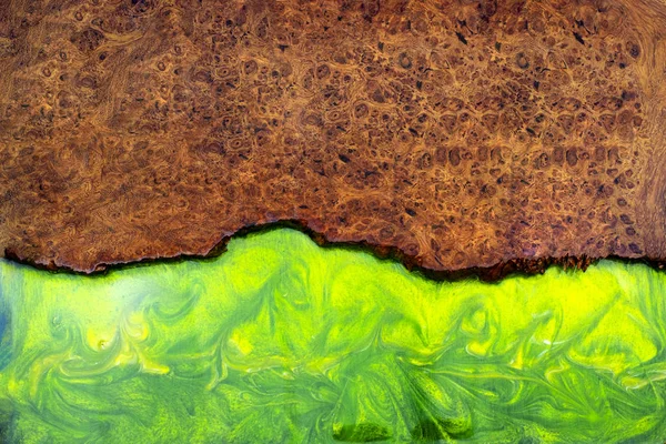 Casting epoxy resin stabilizing burl wood real abstract art green background texture