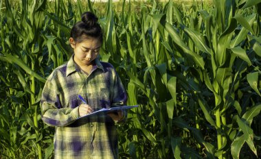 Genç çiftçi bazı grafikler tarlada gözlemleyerek eğe, Eco organik modern akıllı çiftlik 4.0 teknoloji kavramı