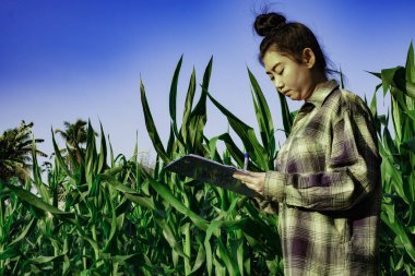 Genç çiftçi bazı grafikler tarlada gözlemleyerek eğe, Eco organik modern akıllı çiftlik 4.0 teknoloji kavramı