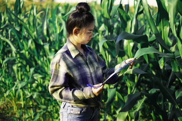 young farmer observing some charts vegetable filed in mobile phone, Eco organic modern smart farm 4.0 technology concept, Agronomist in Agriculture Field read a report