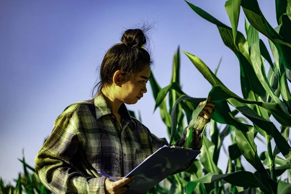 young farmer observing some charts vegetable filed in mobile phone, Eco organic modern smart farm 4.0 technology concept, Agronomist in Agriculture Field read a report