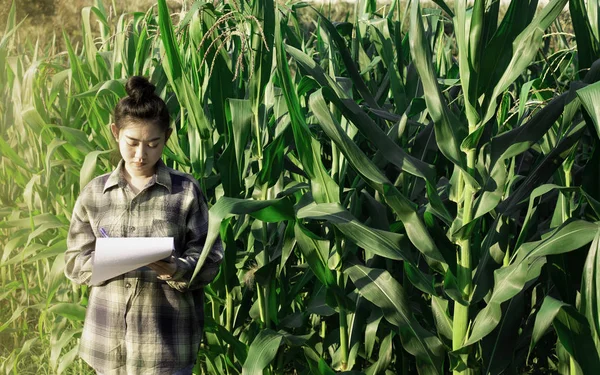 young farmer observing some charts vegetable filed in mobile phone, Eco organic modern smart farm 4.0 technology concept, Agronomist in Agriculture Field read a report