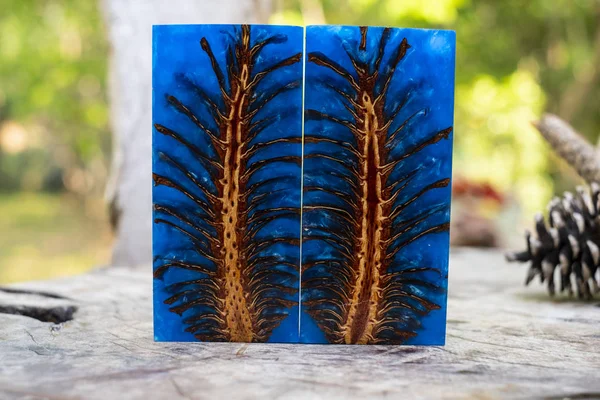 Casting epoxy resin Stabilizing pine cone abstract art blurred background