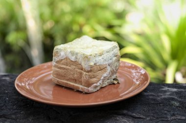 Kase yemek arka plan üzerinde mantar kaplı ekmek üzerinde kalıp