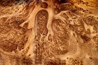 Real burl wood striped for Picture prints interior decoration car, Exotic wooden beautiful pattern for crafts or abstract art background texture clipart