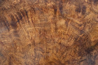 Real burl wood striped for Picture prints interior decoration, Exotic wooden beautiful pattern for crafts or abstract art texture background clipart