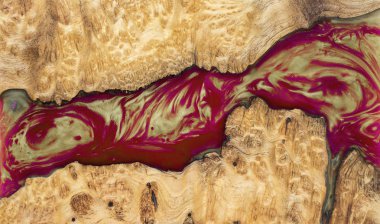 Casting epoxy resin stabilizing burl Leza  Salao wood abstract art isolated background for blanks clipart