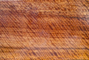 Gerçek ahşap kaplan şerit veya kıvırcık şerit tahıl, ahşap el sanatları ve sanat arka plan doku için egzotik güzel desen vardır