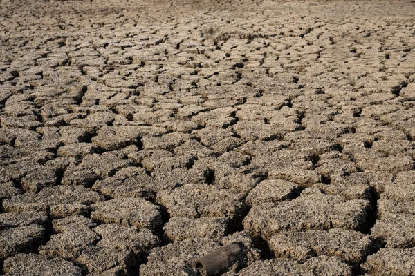 Terreno Agrietado Seco Zonas Áridas Paisaje — Foto de Stock