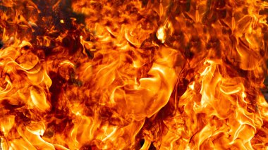 Yangın sanat siyah arka plan üzerinde alevler, yanan kırmızı sıcak yükselişi, ateşli turuncu parlak uçan parçacıklar kıvılcım