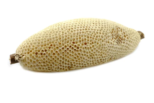 Natural Wild Honeycomb Trägrenen Och Isolerad Vit Bakgrund — Stockfoto
