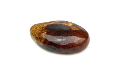 Yumurta kağıt ağırlığı için ahşap doğadan yapılmış, beyaz arka plan üzerinde egzotik ahşap güzel desen