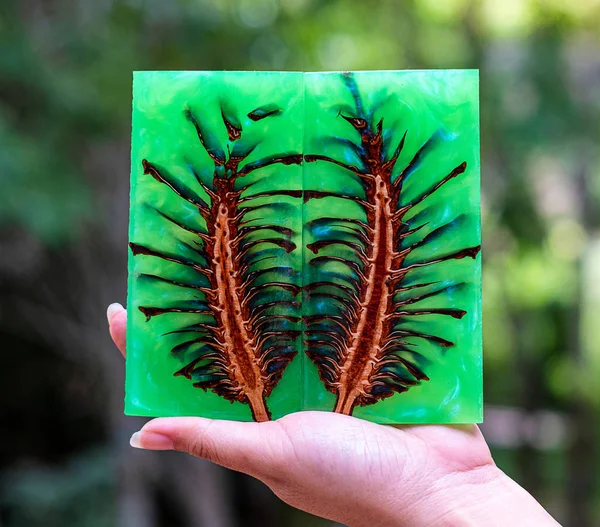 Mano Tenuta Colata Resina Epossidica Stabilizzare Pigna Astratto Arte Sfocatura — Foto Stock