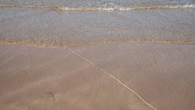 Güneşli gökyüzü ile tropikal plaj deniz manzaralı ve kumlar ile Yaz plaj