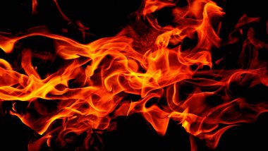 Yangın sanat siyah arka plan üzerinde alevler, yanan kırmızı sıcak yükselişi, ateşli turuncu parlak uçan parçacıklar kıvılcım