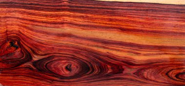 Doğa Birmanya gül ağacı egzotik ahşap Resim baskıları veya arkaplan dokusu için