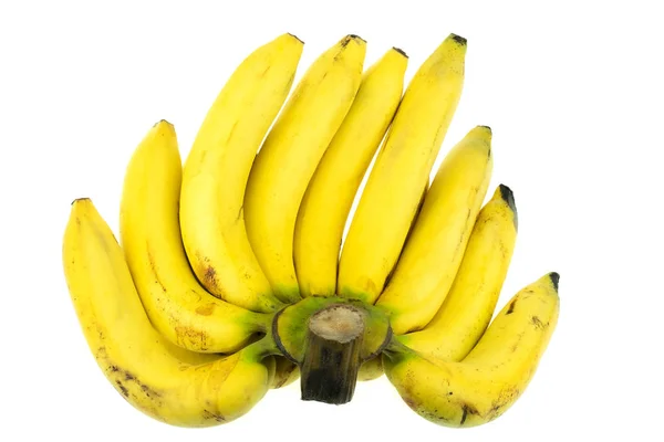 Rijpe Gros Michel banaan — Stockfoto