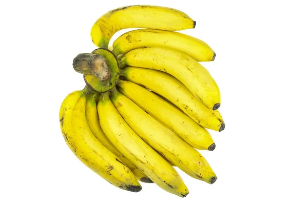 Rijpe Gros Michel banaan — Stockfoto