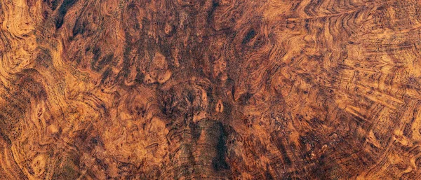 Naturaleza afzelia madera de burl — Foto de Stock