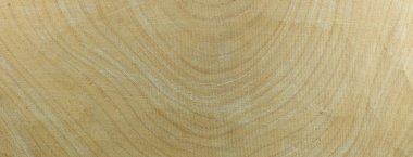 Yıllık halka demirhindi ahşap