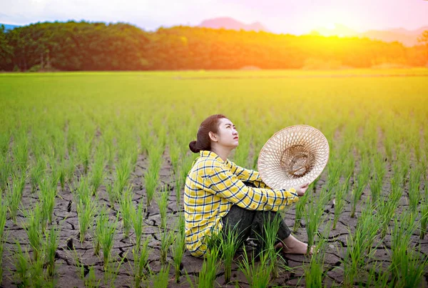 Mujer agricultora sentada mirando fijamente plántulas de arroz —  Fotos de Stock