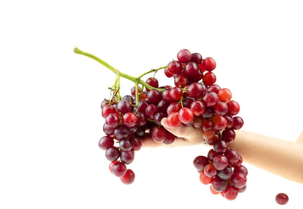 Dojrzałe Czerwone Winogrona Białym Kolorze — Zdjęcie stockowe