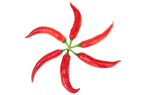 Närbild röd varm chili sporre peppar — Stockfoto