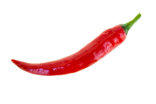 Close up red hot chili spur pepper Stock Image