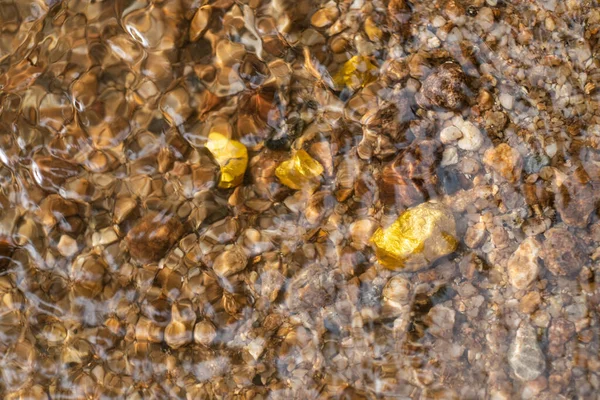 Benimkinde Saf Altın Külçesi Doğal Altı Kaynakları Bulundu — Stok fotoğraf