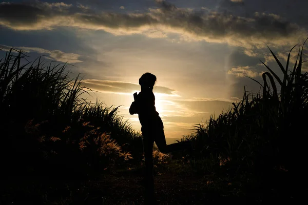 Bäuerin Silhouette Steht Der Zuckerrohrplantage Hintergrund Sonnenuntergang Abend — Stockfoto