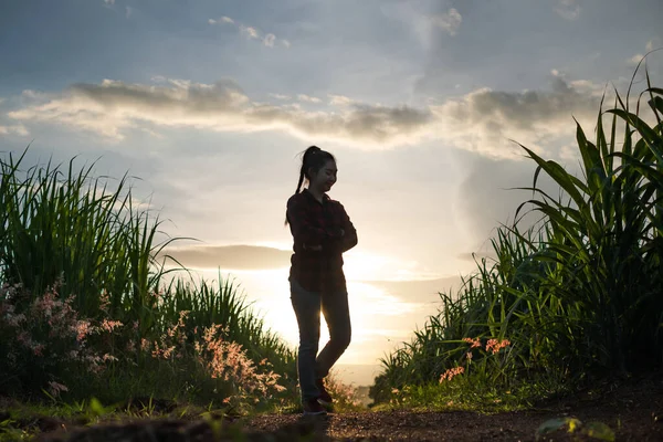 Mujer Agricultora Silueta Pie Plantación Caña Azúcar Atardecer Fondo Incluso —  Fotos de Stock