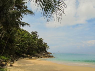 Okyanus uzakta insanlardan temiz kumsalı, mavi okyanus ve güzel palmiye ağaçları arasında yaz görünümü.