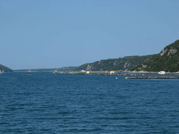 Austernfarmen Einer Bucht Des Mittelmeeres — Stockfoto