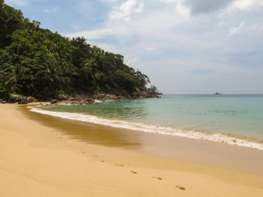 Güzel bir palmiye ağaçları ve ayak izleri olan çöl mükemmel temiz plaj tropikal orman manzarası.