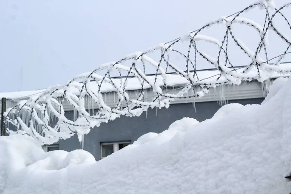 Snow and barbed wire on the fence near the building. barbed wire with snow.