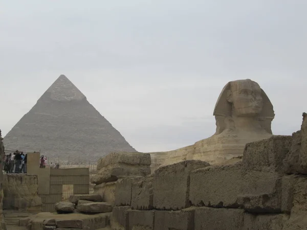Esfinge frente a la Pirámide en El Cairo. Complejo piramidal de Giza — Foto de Stock