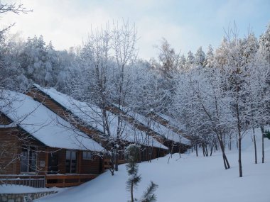 Erken kış sabahları kış ormanı ve küçük ahşap evler güzel manzarasına karla kaplı.