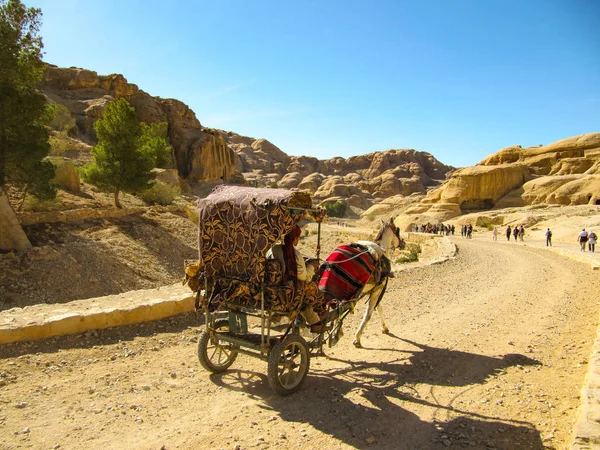 Egy Lovas Szekéren Folytató Turisták Poros Naplemente Itt Petra Jordánia — Stock Fotó