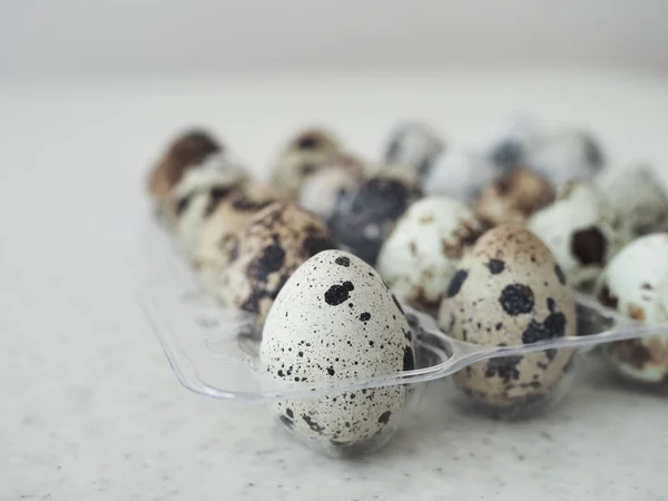 Quail eggs in plastic transparent packaging close-up.