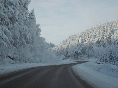 Güzel, karlı bir kışta Alplerdeki ormanda boş bir yol.