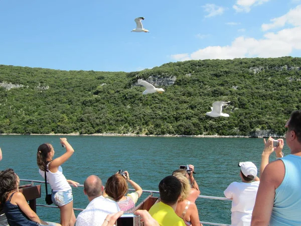 Turistas navegando en el ferry para alimentar gaviotas y tomar fotos. Croacia, Istra - 20 de julio de 2010 . — Foto de Stock