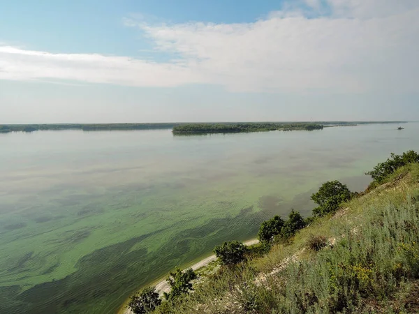 Légi felvétel a folyóról. Zöld algák a víz felszínén. virágzó víz a gátszerkezet és a környezetszennyezés következtében — Stock Fotó