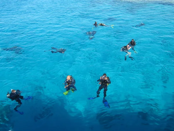 埃及沙姆沙伊赫-2009年12月29日: 潜水员在红海游泳 — 图库照片
