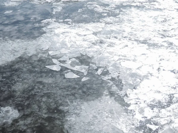 Thin translucent white icicles on the water surface in early spring