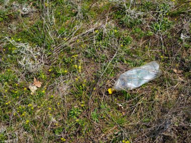 Ormanda plastik şişe atıkları. Plastik kirlilik kavramı